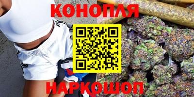 дмт Шелехов