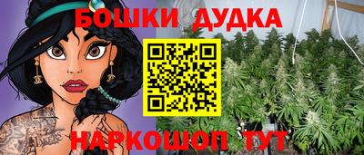 дмт Шелехов