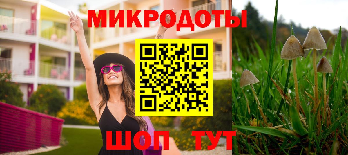 Псилоцибиновые грибы мухоморы Гусь-Хрустальный